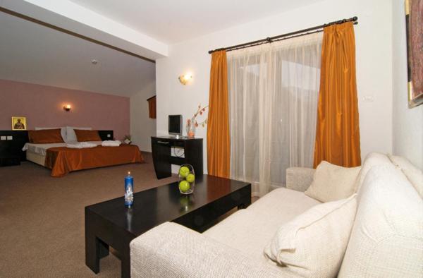 Spa Hotel Planinata Ribaritsa Rum bild